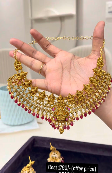 Beautiful chocker/ necklace
