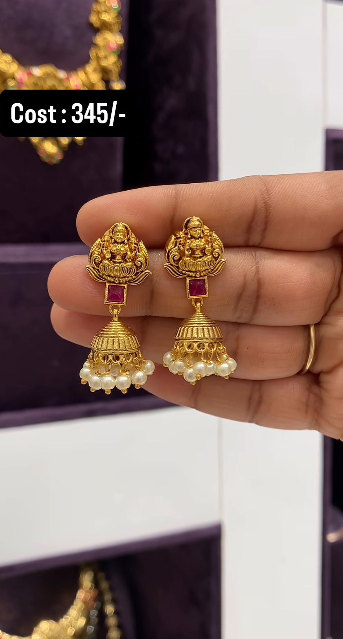 Beautiful cute jumkies