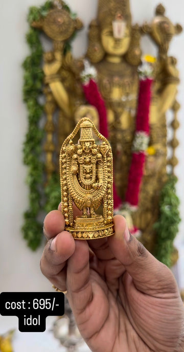 Beautiful traditional balaji idol