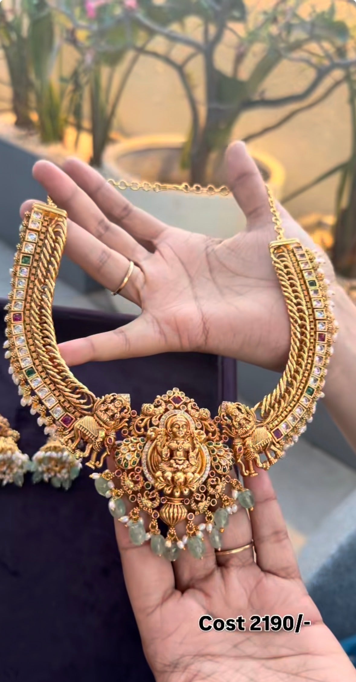Beautiful Necklace