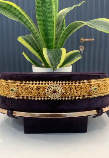 Beautiful traditional vaddanam