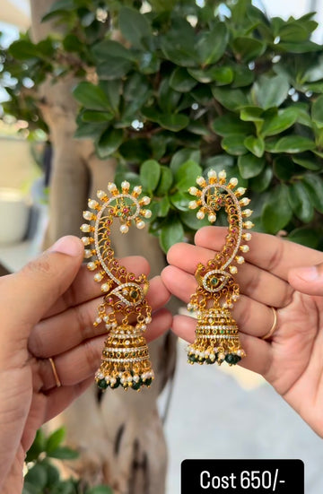Beautiful earcuffs