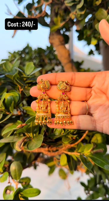 Beautiful earrings