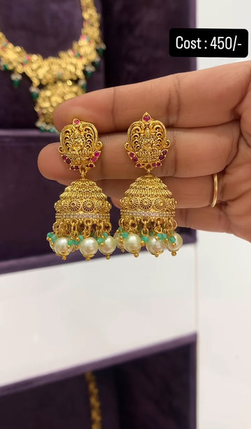 Beautiful jumkies