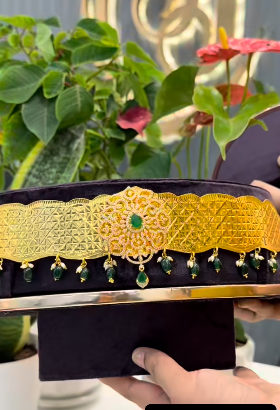 Beautiful adult vadanam