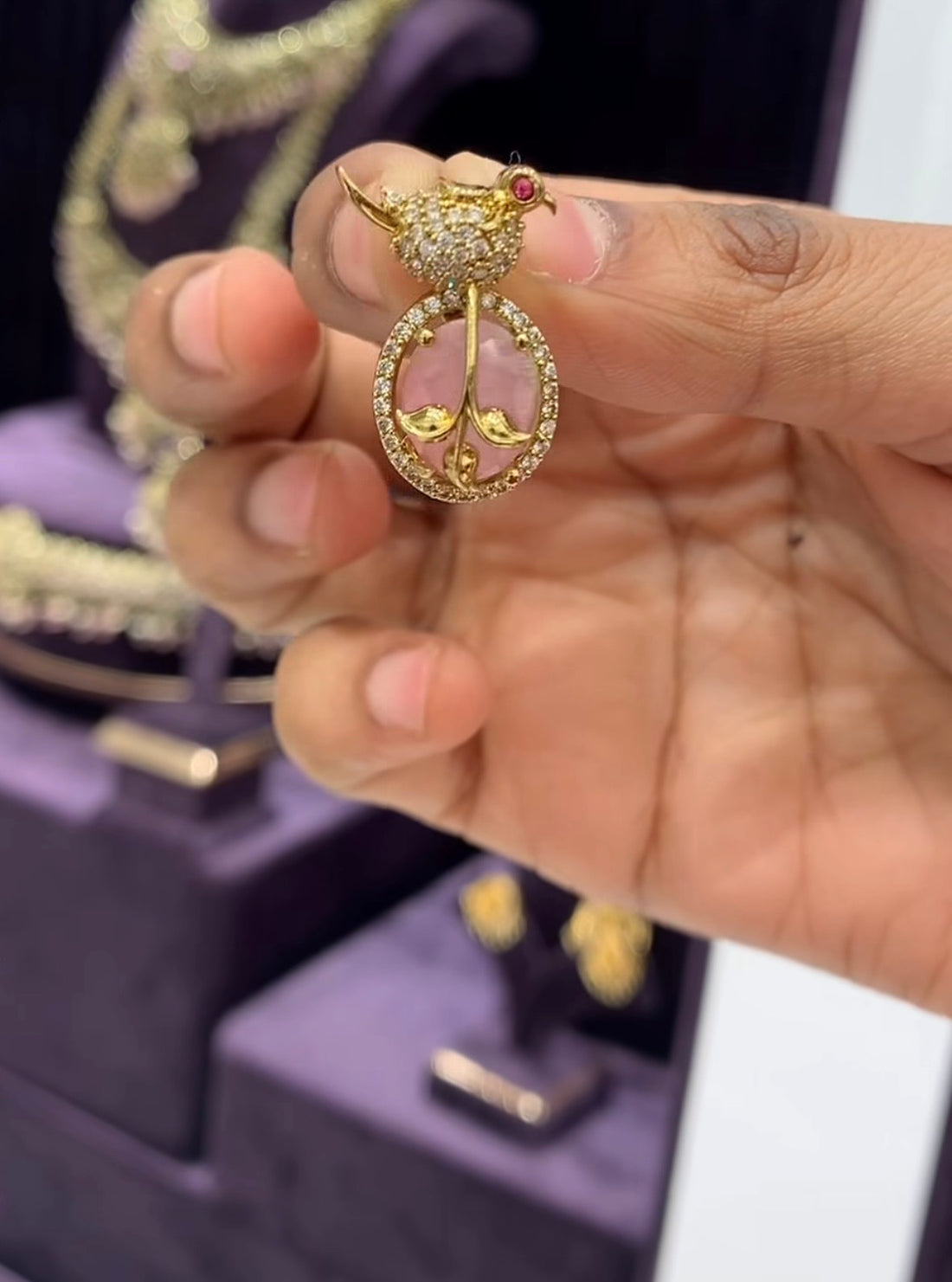 Beautiful cute parrot Locket set