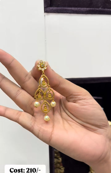 Beautiful earrings