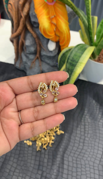 Beautiful screwback studs